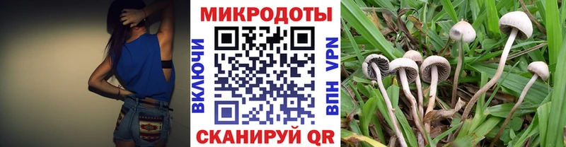 Купить где  Южноуральск  Псилоцибиновые грибы Psilocybe 